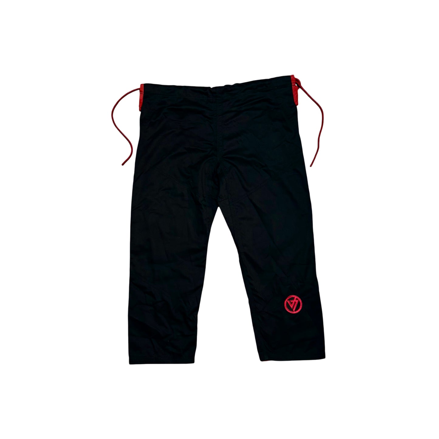 THE REVENANT GI